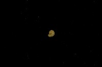 藏品(微小螺)的圖片